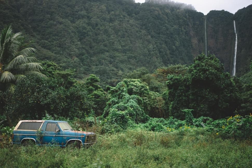 Free Image of Abandoned car in lush tropical environment 