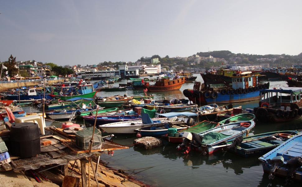 Free Image of Busy fishing harbor with colorful boats 