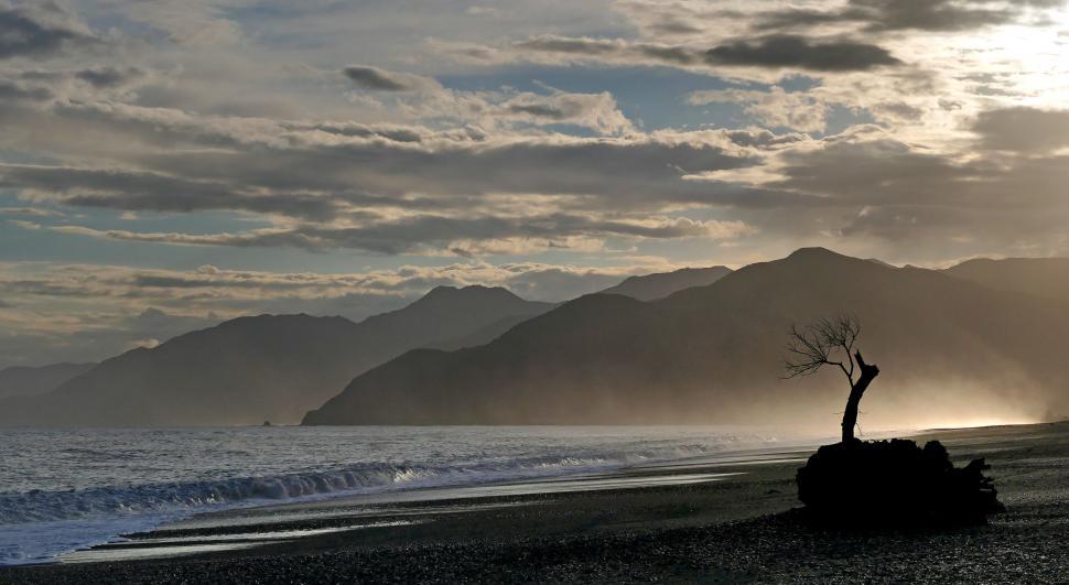 Free Image of Silhouetted tree against misty mountain beach 