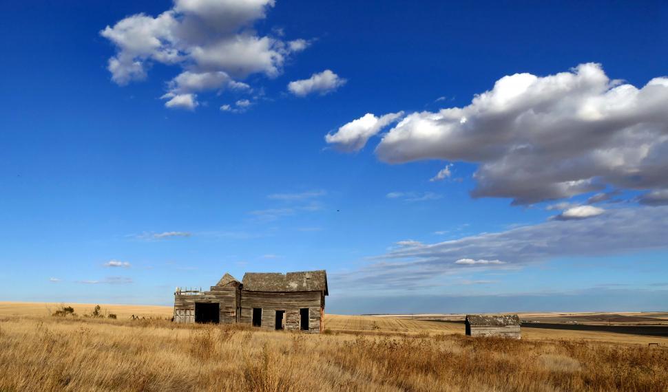 Free Image of Abandoned wooden house in open field 