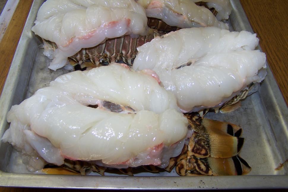 Free Image of Split Lobster Tails in Pan 2 