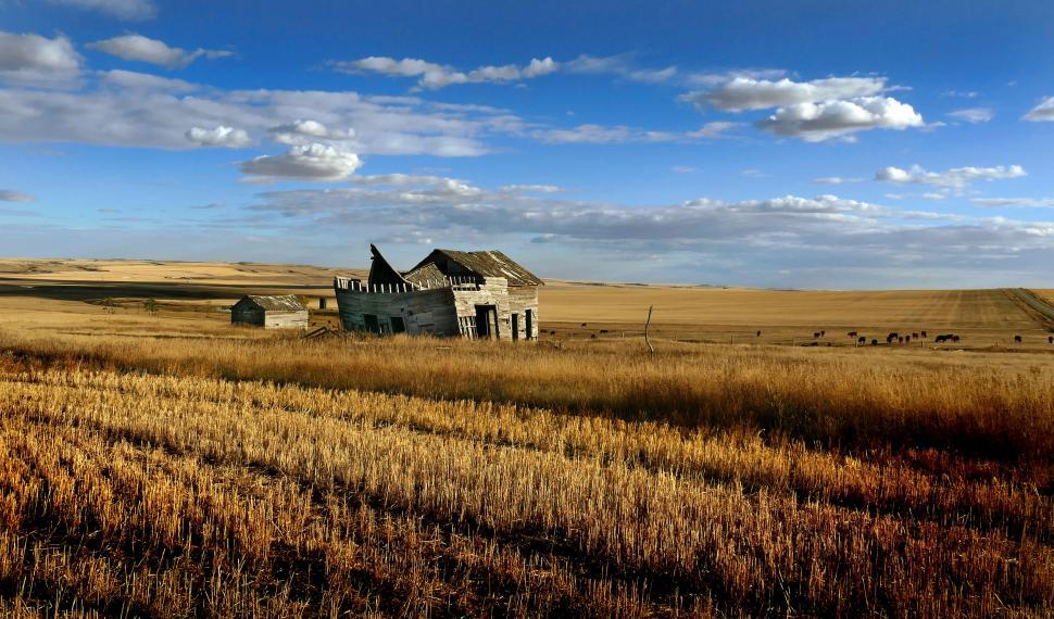 Free Image of Abandoned farmhouse in expansive rural landscape 