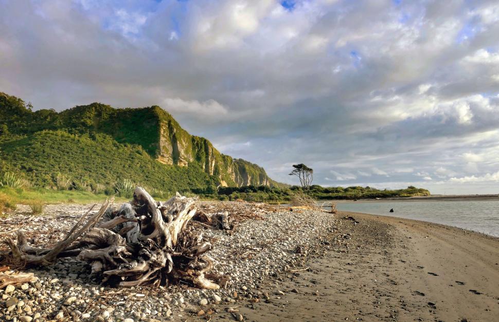 Free Image of Seaside landscape with dramatic cliffs and driftwood 