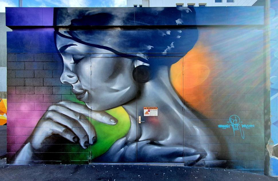 Free Image of Colorful street art mural partly obscured 