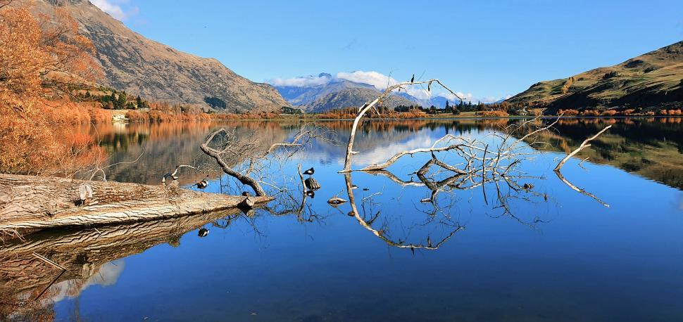 Free Image of Serene lake with mountains and fallen tree 
