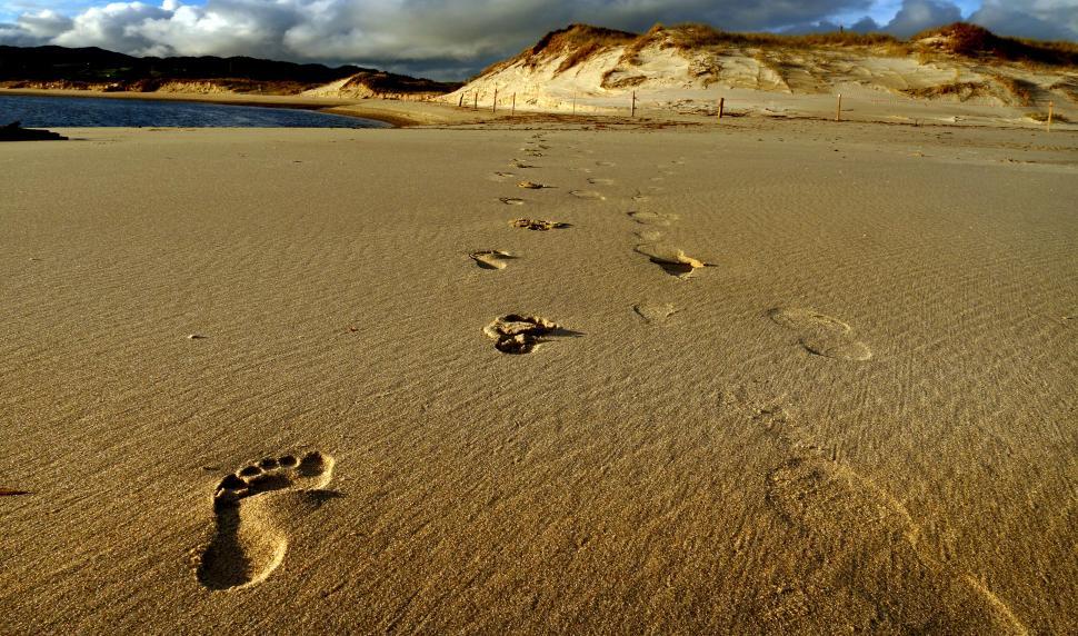 Free Image of Footprints trailing on a serene sandy beach 