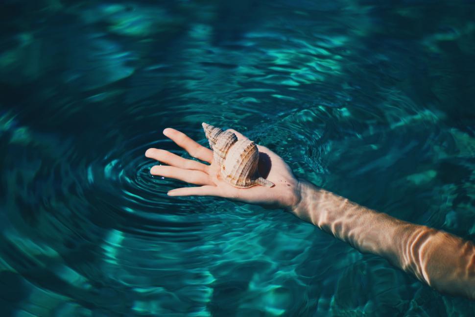 Free Image of Hand holding a seashell in clear ocean water 