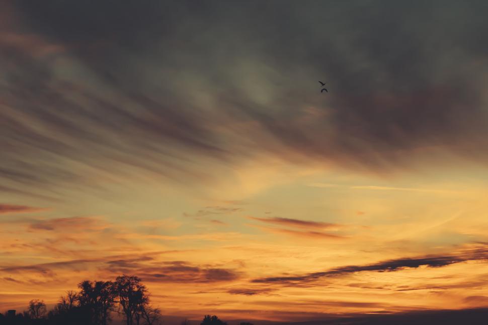 Free Image of Sunset with fiery clouds and bird silhouette 