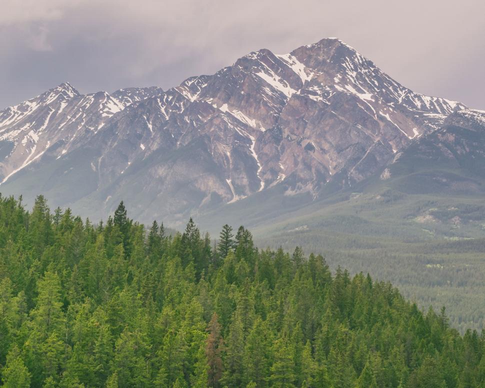 Free Image of Mountain range with lush green forest foreground 