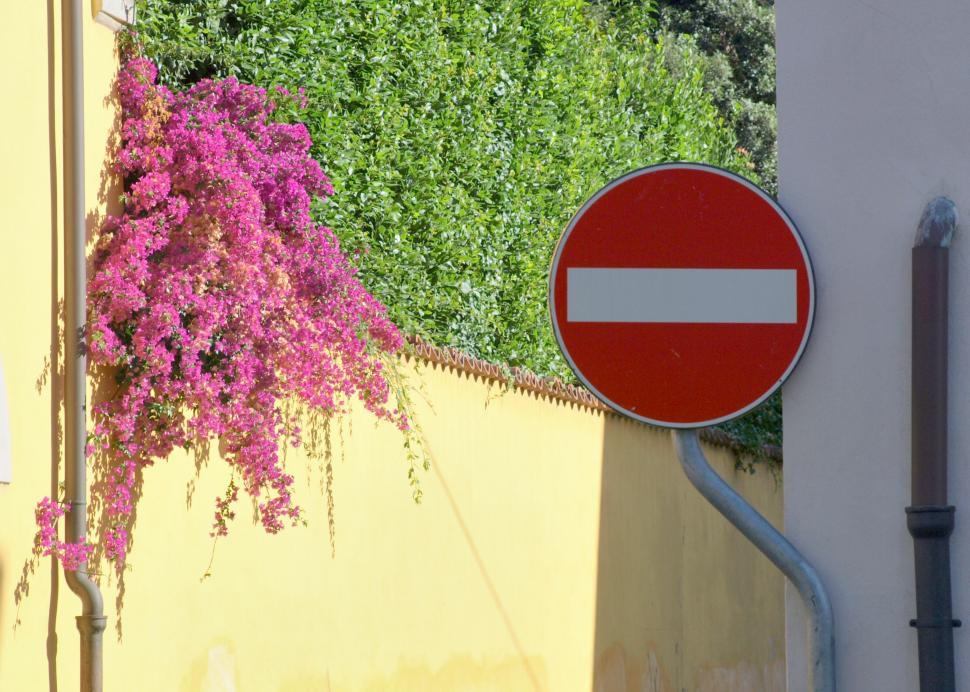 Free Image of No entry sign beside blooming purple flowers 