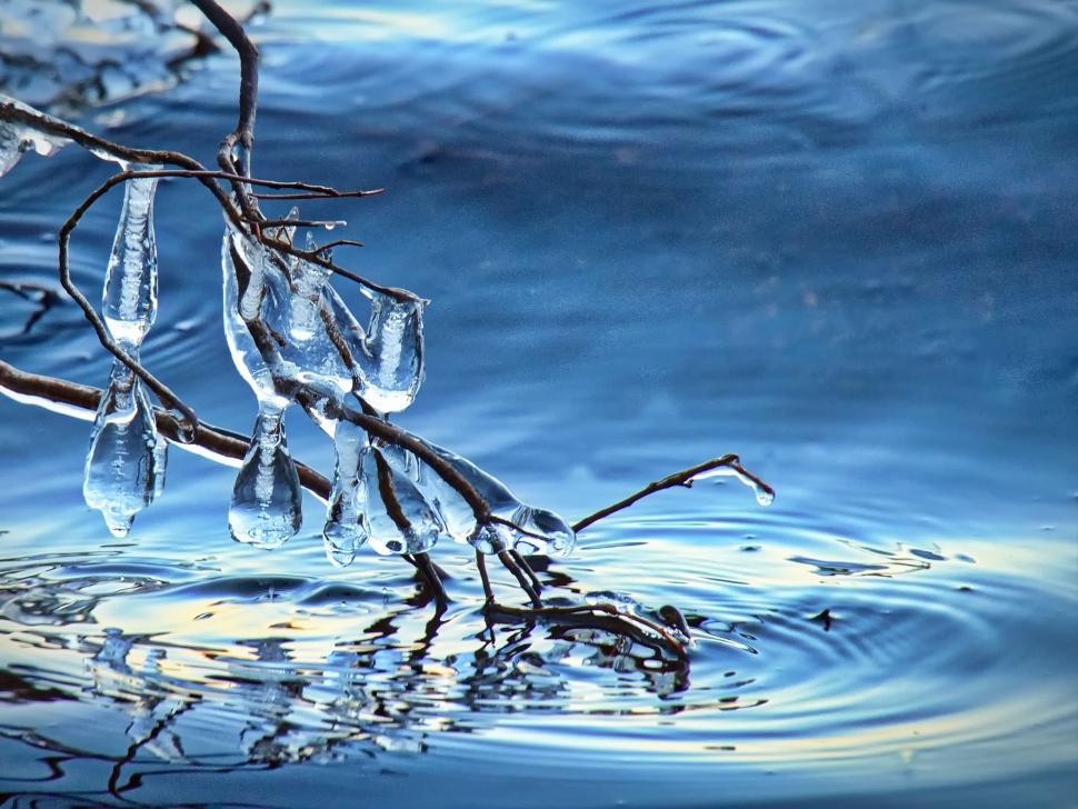 Free Image of Icicles hanging from branch over water 