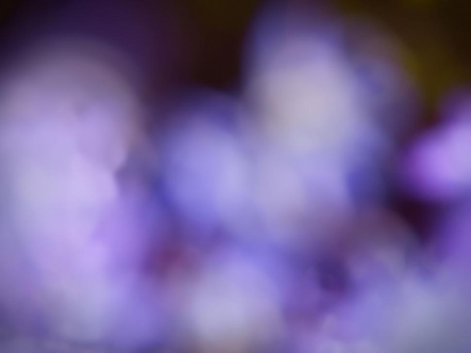 Free Image of Abstract purple and blue color blur background 