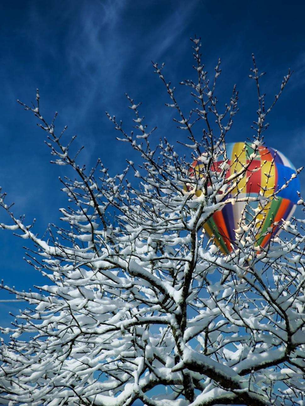 Free Image of Hot air balloon over snow-covered trees 