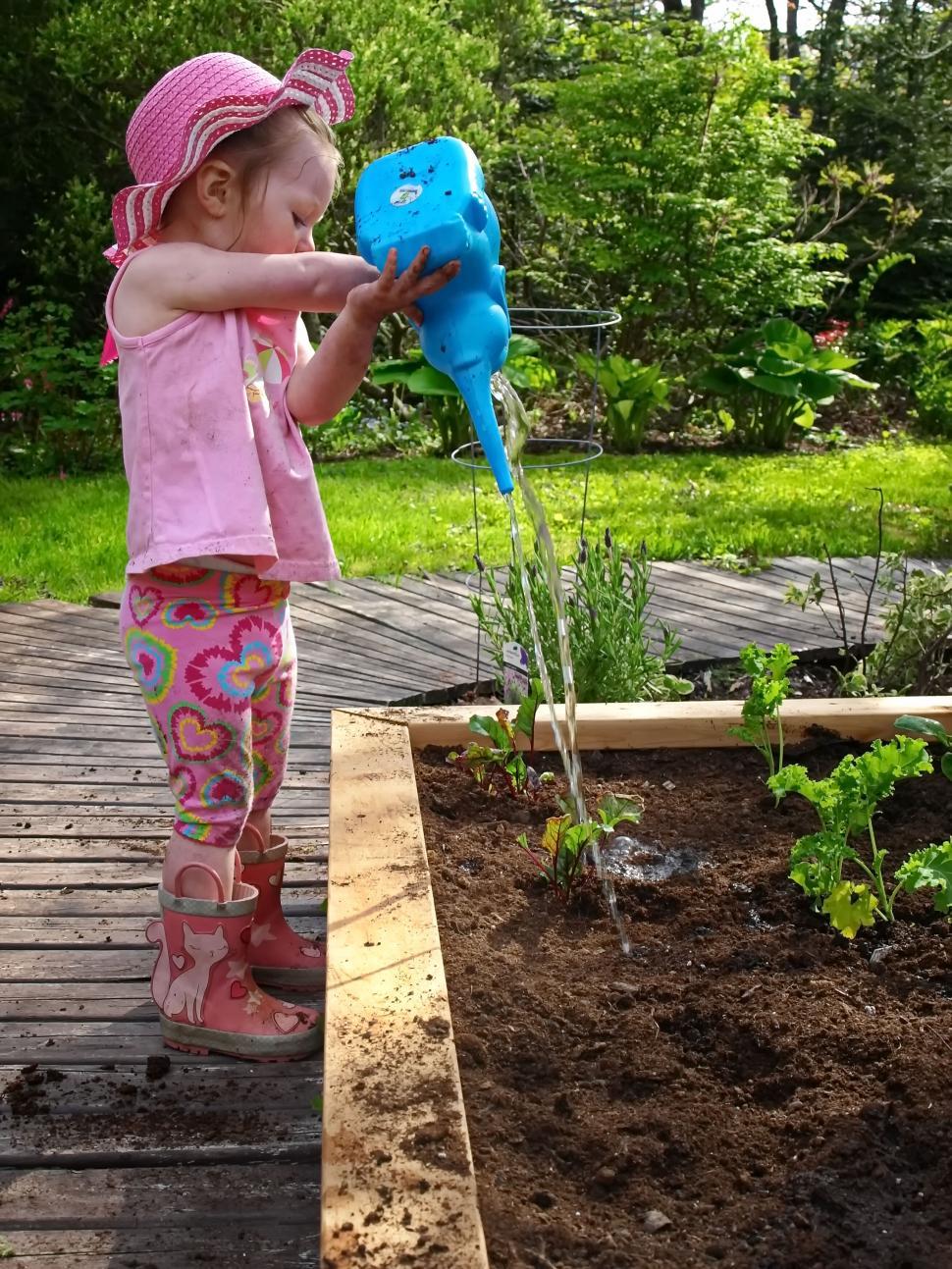 Free Image of Child watering plants in a garden bed 
