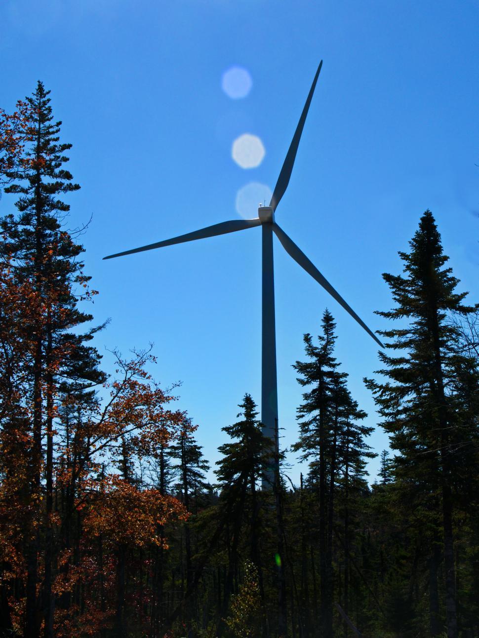 Free Image of Wind turbine against forest and blue sky 