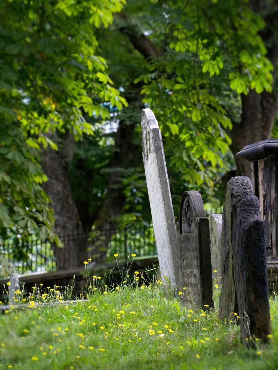 Free Image of Old wooden tombstones in grassy cemetery 