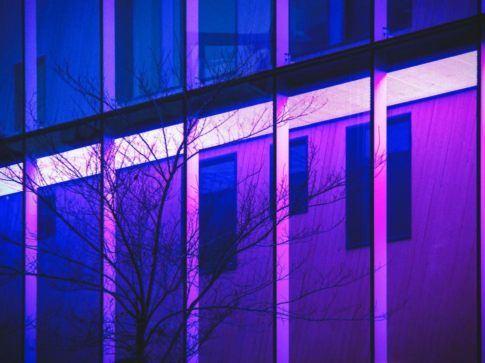 Free Image of Neon-lit modern building with tree silhouette 