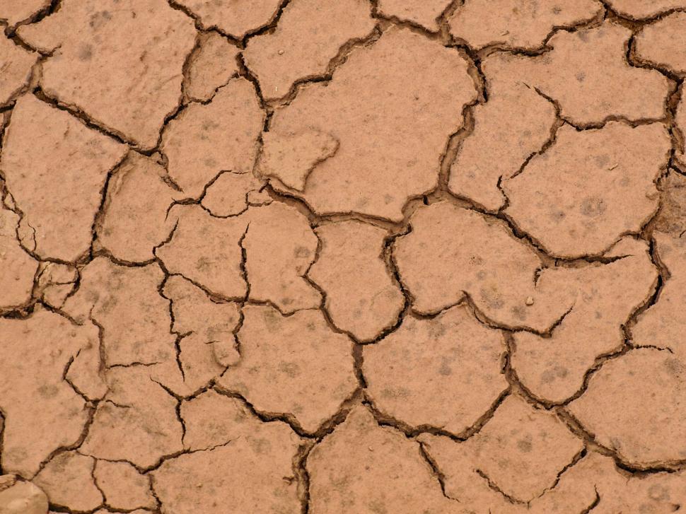 Free Image of Arid cracked earth texture close-up 