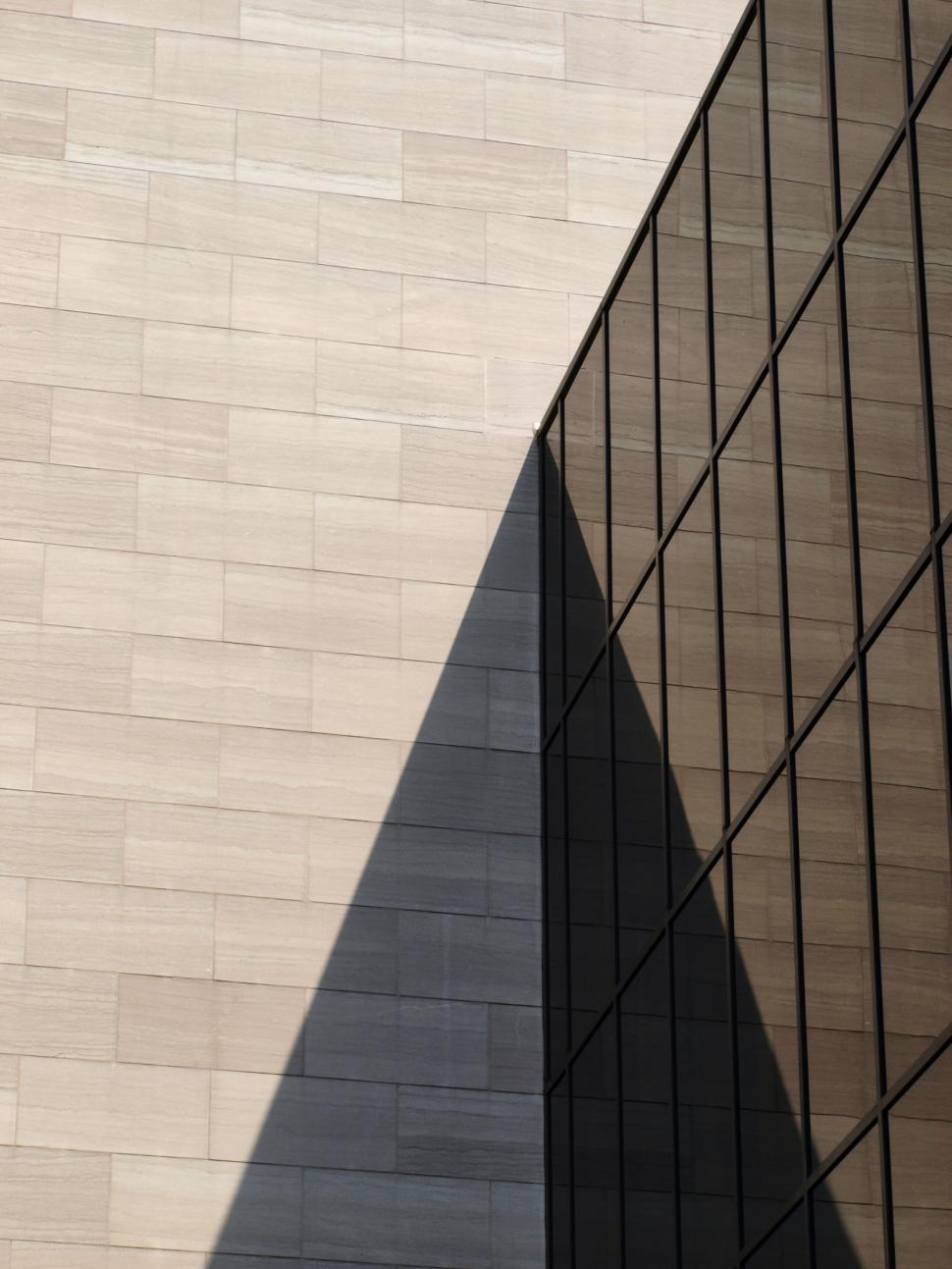 Free Image of Shadow play on a minimalist beige wall 