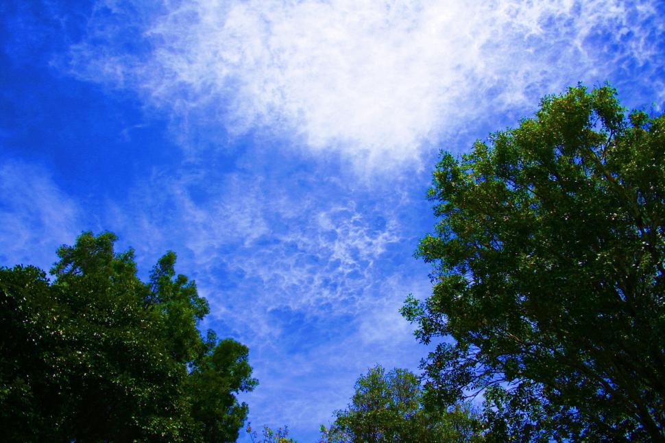 Free Image of Vibrant blue sky and cloud foliage frame 