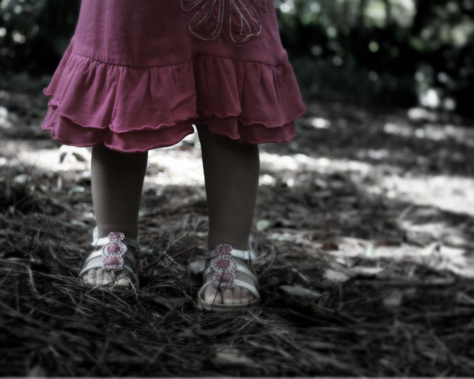 Free Image of Little girl standing in a wooded area 