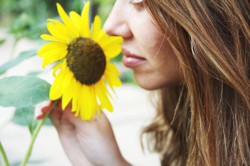 Free Image of Woman holding sunflower in sunlight 