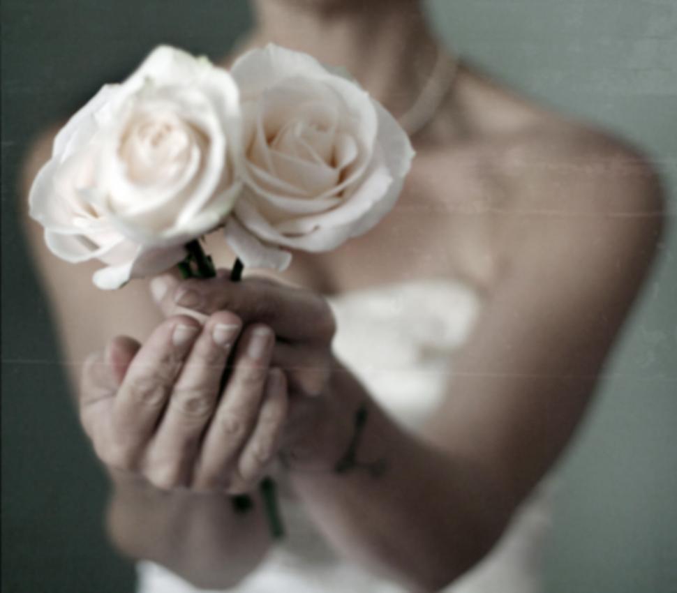 Free Image of Soft focus on a woman holding roses 