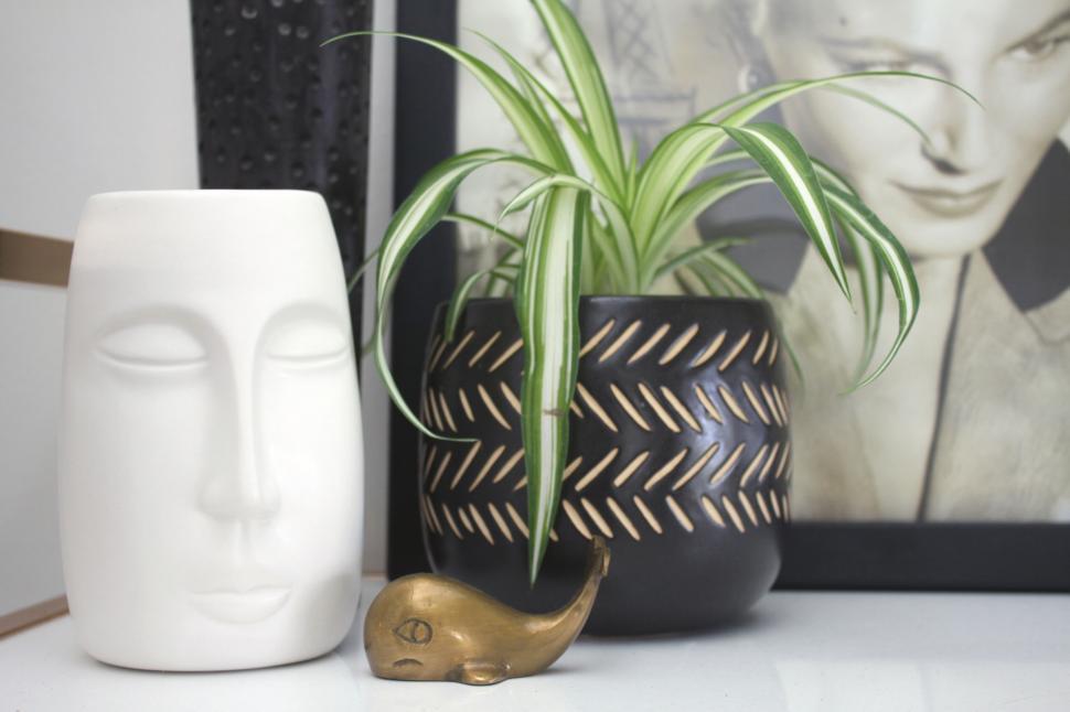Free Image of Chic home decor with face vase and portrait 