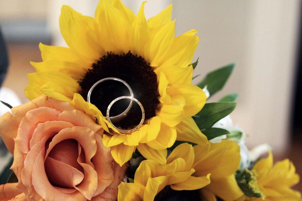 Free Image of Bright sunflower bouquet with wedding rings 
