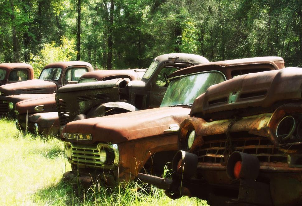 Free Image of Vintage trucks lined up in a field 
