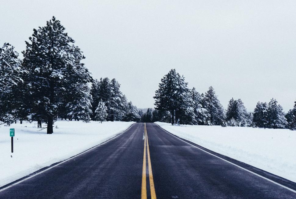 Free Image of Snow covered road through winter forest 