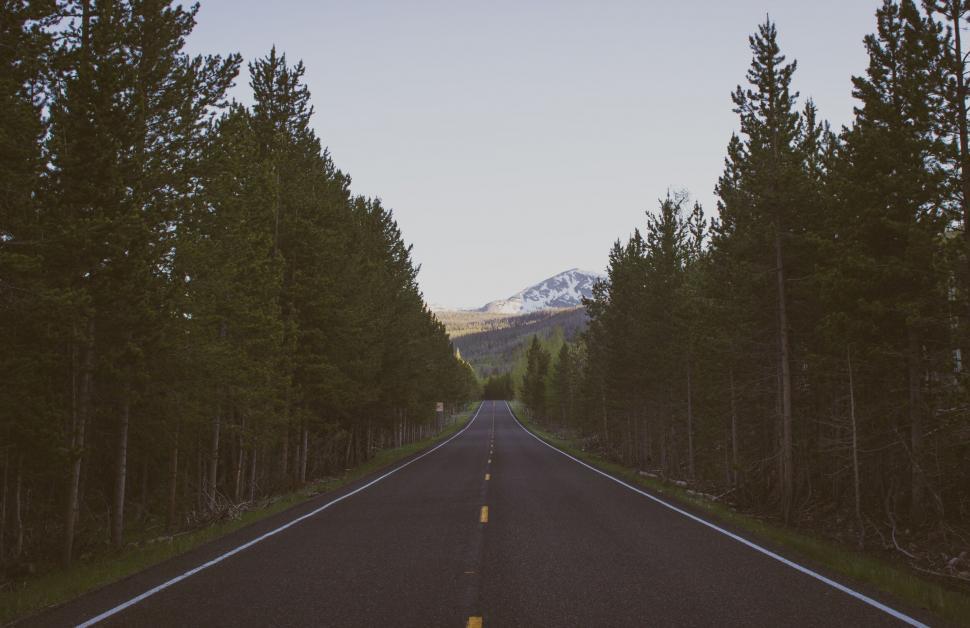 Free Image of Open road flanked by dense forests in Montana 