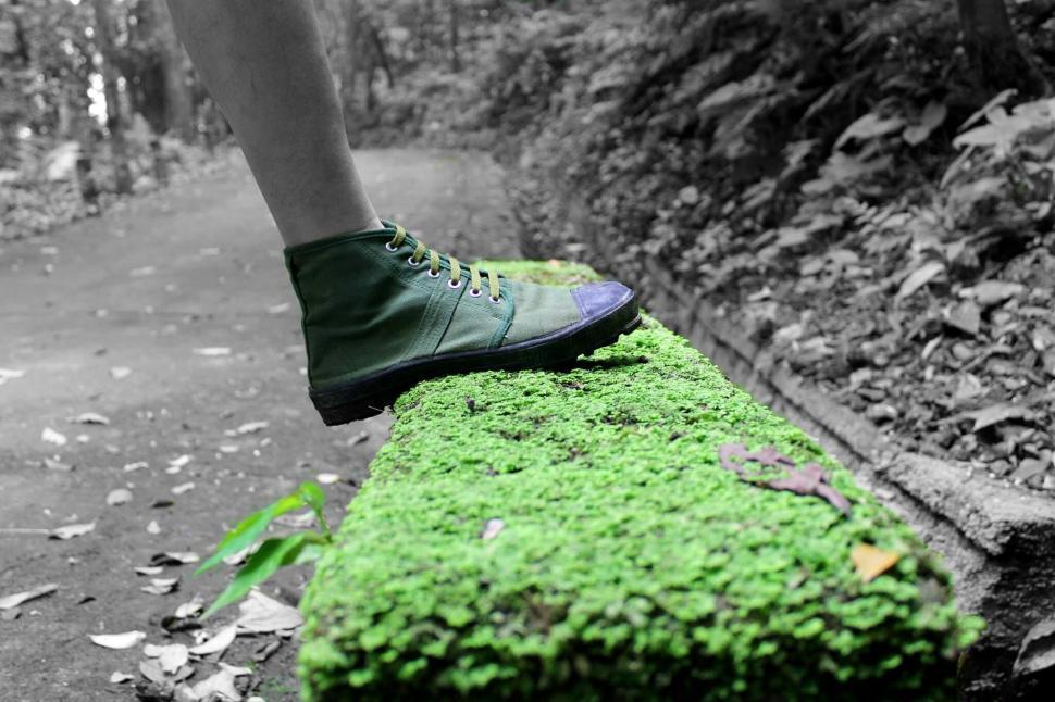 Free Image of Green shoe stepping on a mossy path 