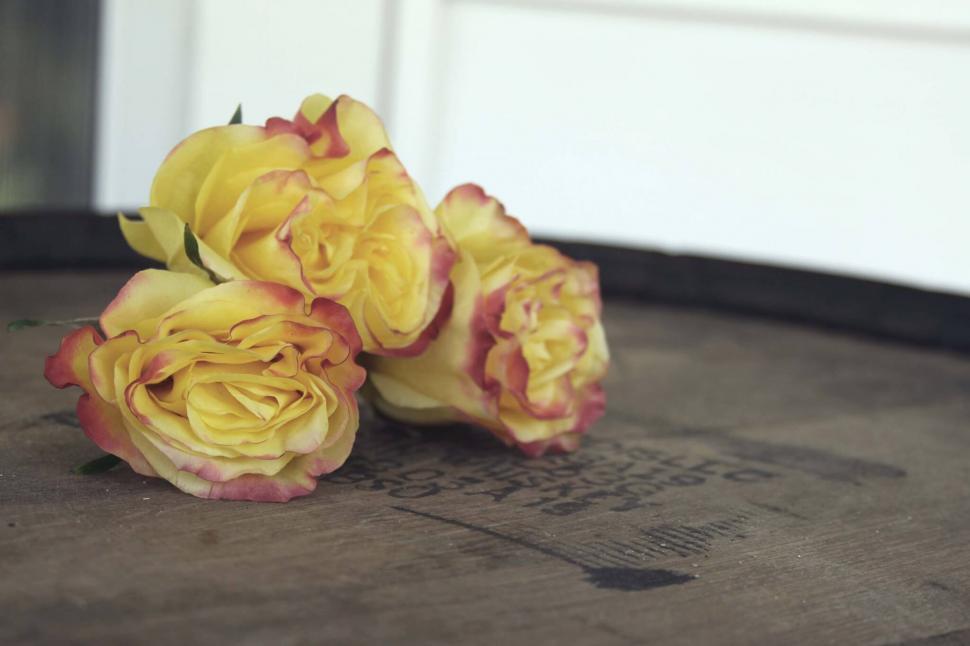 Free Image of Yellow roses on a rustic wooden barrel 