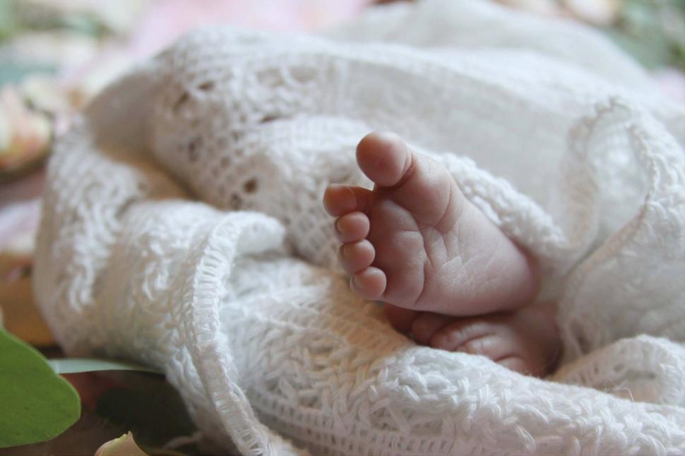 Free Image of Newborn baby s delicate foot wrapped in white 