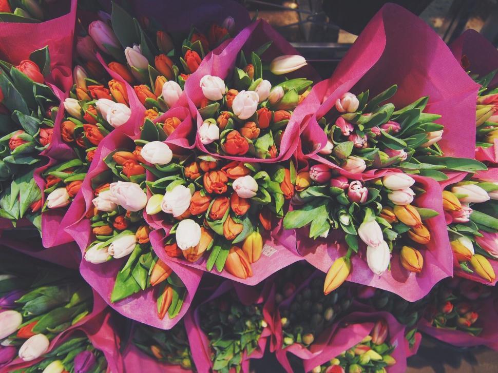Free Image of Colorful tulip bouquets at market 