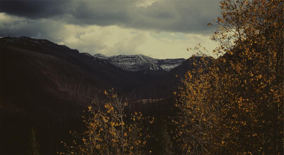Free Image of Mountain landscape with autumn foliage 
