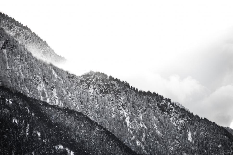 Free Image of Monochromatic snowy forest mountain slope 