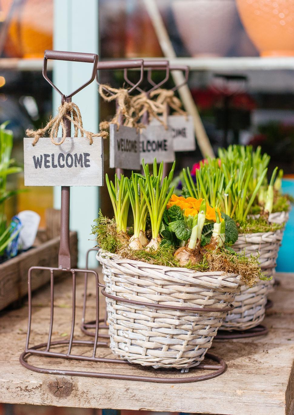 Free Image of Welcome sign on wicker baskets with plants 