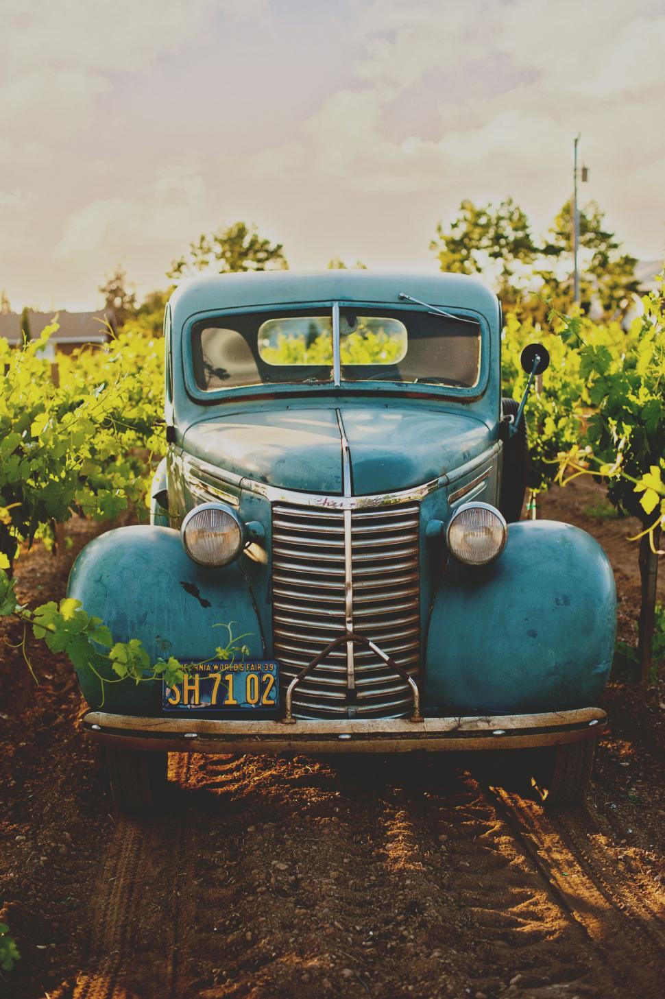 Free Image of Vintage blue car in a vineyard at sunset 