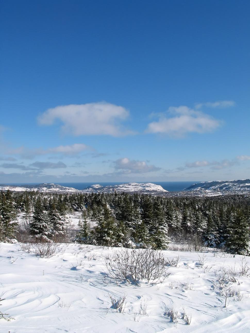 Free Image of Winter Landscape 