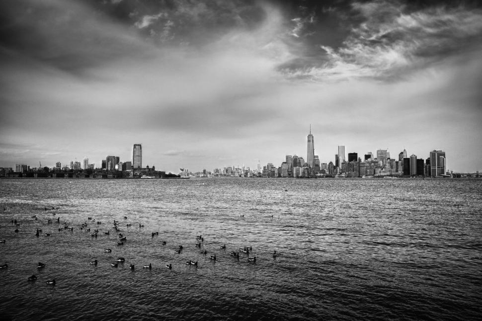 Free Image of Black and white cityscape with geese in water 