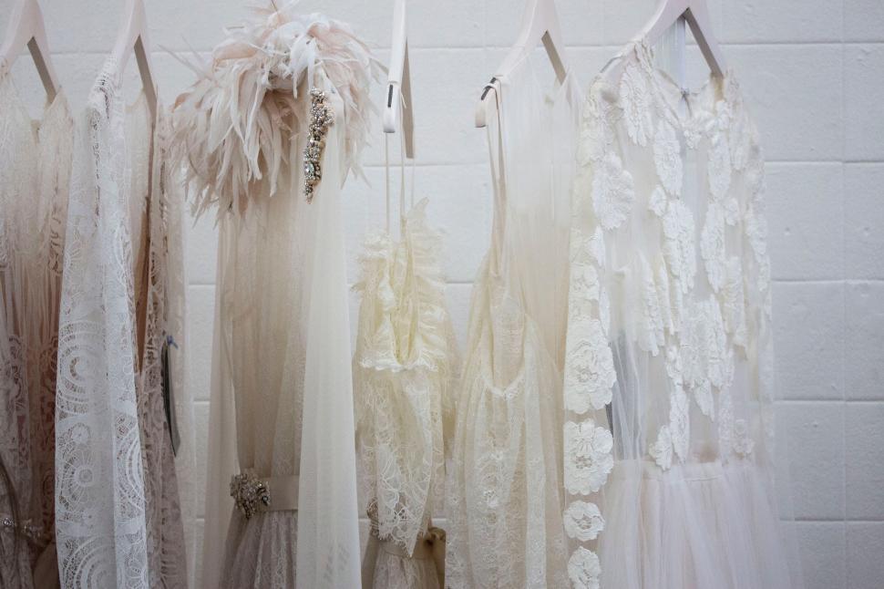 Free Image of Elegant bridal gowns hanging in a row 