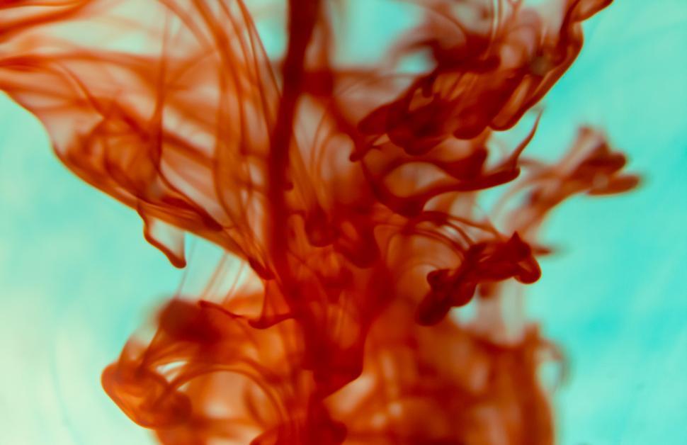 Free Image of Abstract red ink swirling in water 
