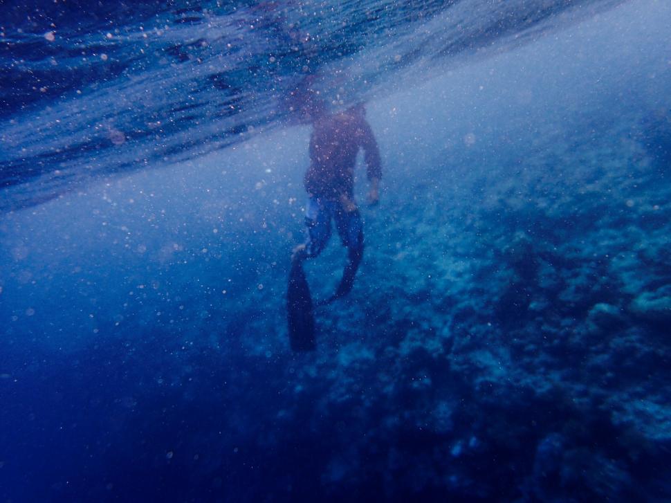Free Image of Adventurer diving into the deep blue ocean 