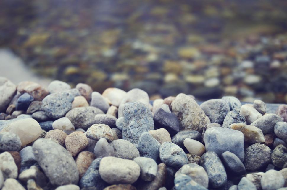 Free Image of Smooth river pebbles in sharp focus 