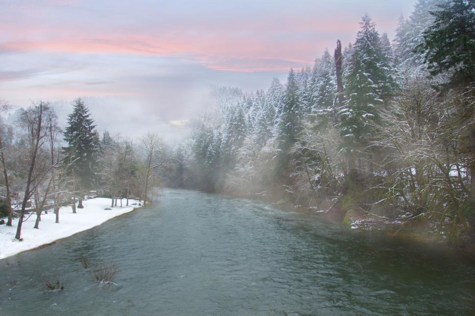 Free Image of Misty river with winter trees at sunset 
