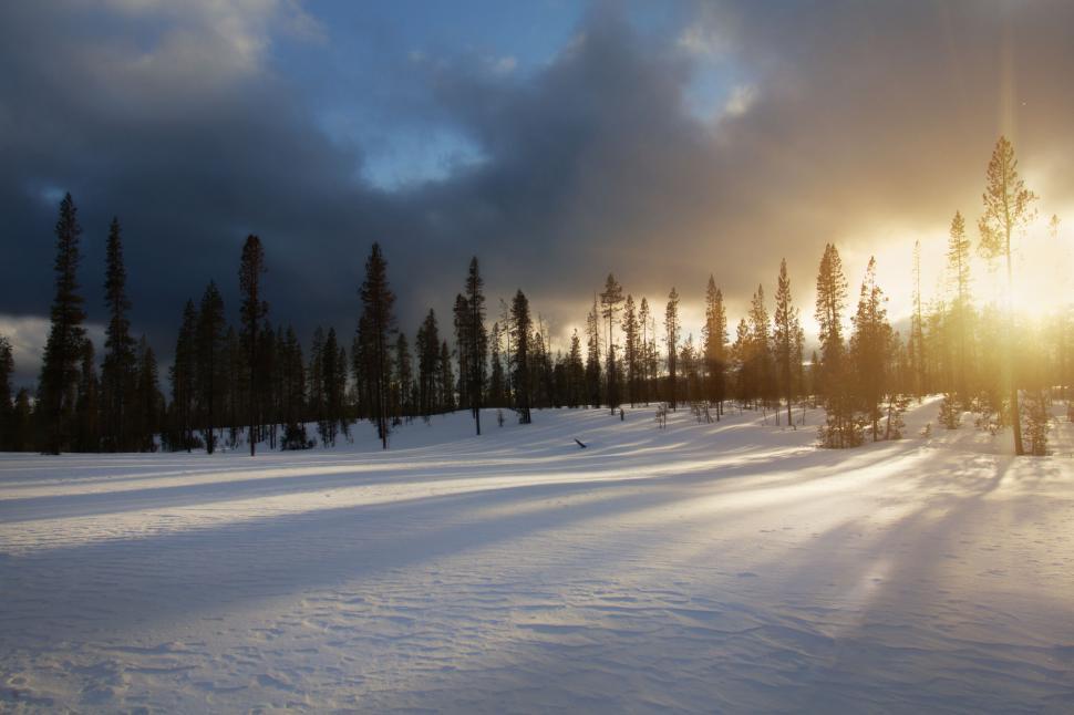 Free Image of Snowy winter landscape at sunset with trees 