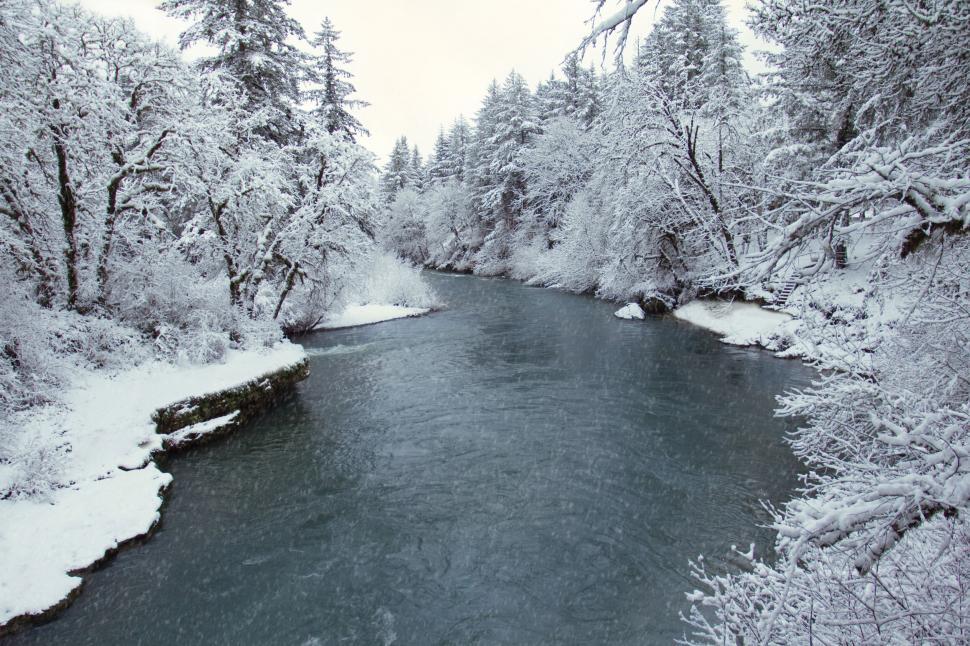 Free Image of Winter wonderland along frozen river banks 