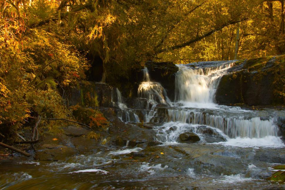 Free Image of Tranquil waterfall scene in a forest setting 